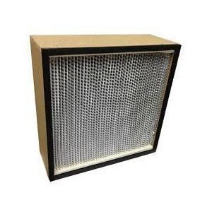 Hepa Filter H66g2x1 24x24 Biomax Hepa Filter H66g2x1 24x24 Biomax